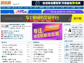 換個域名，竟如換棟別墅？互聯網域名注冊服務的價值與策略