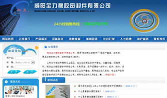 萬企互聯 一站式互聯網解決方案，助力企業數字化騰飛